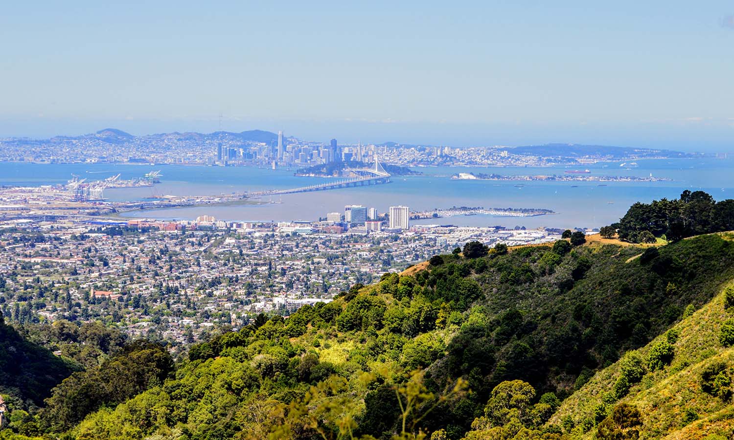 East Bay from Grizzly Peak