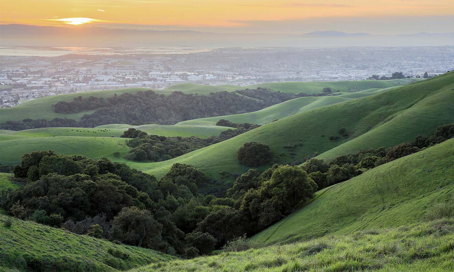 Rolling hills in East Bay near San Francisco